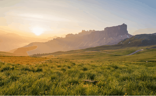 Optativa I: Seguridad del Paciente