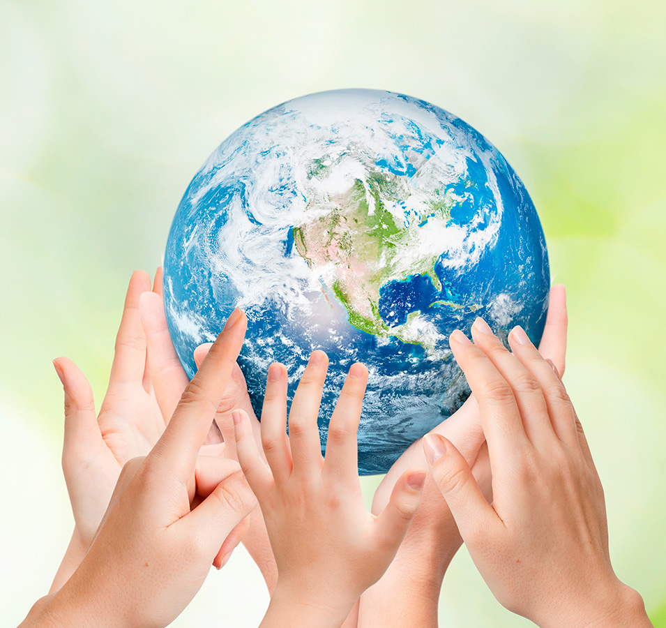 Economía Alimentaria