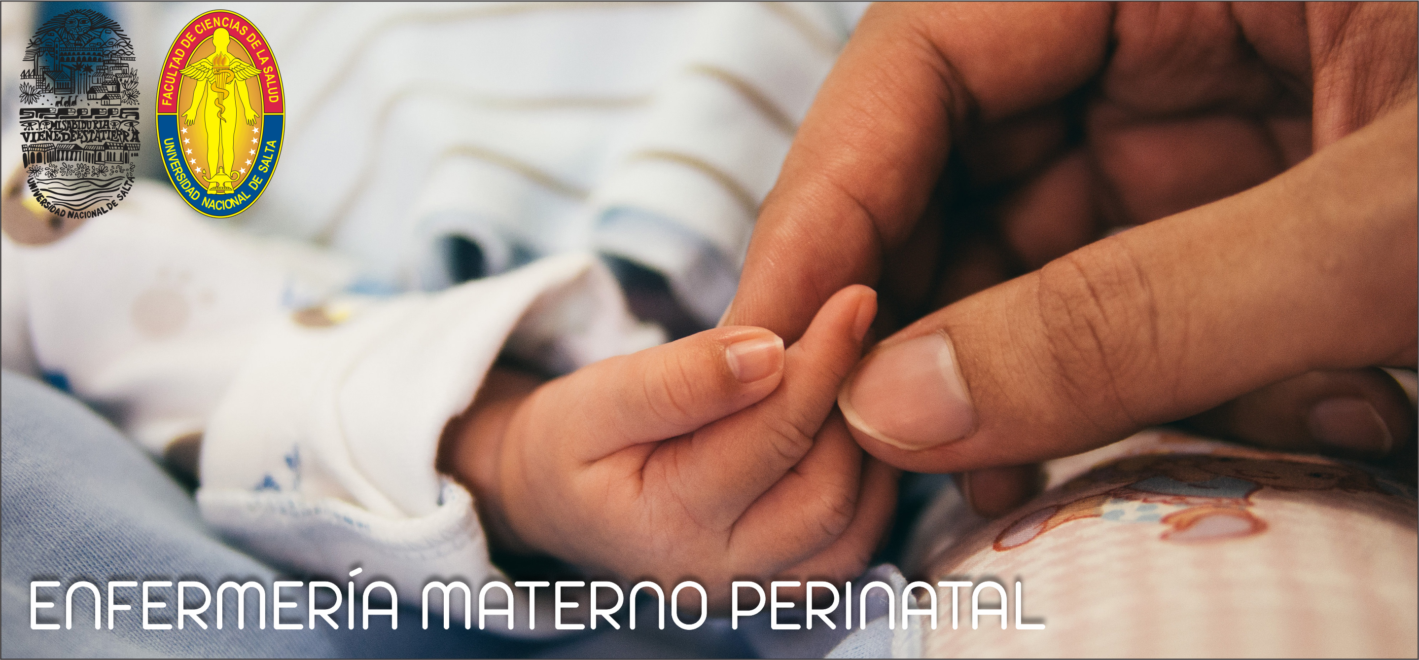 Enfermería Materno Perinatal